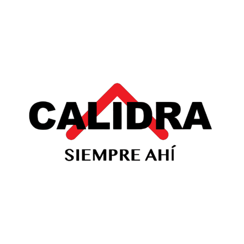 Calidra: Corporate Data Platform for High-Speed Decision Making Image 2